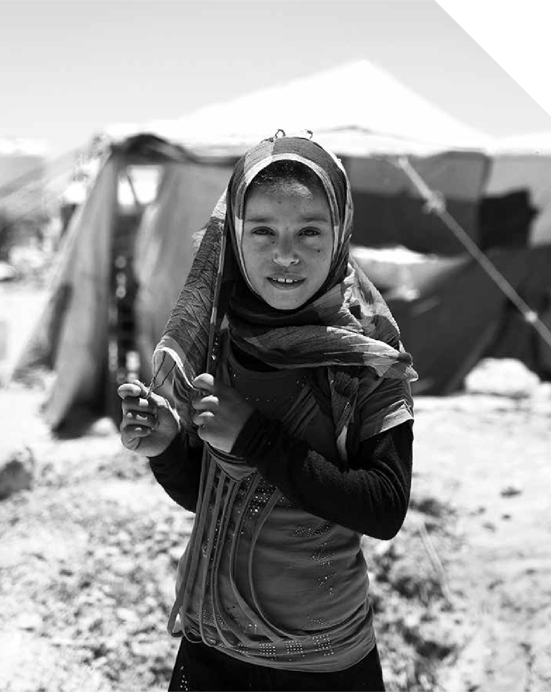 Bir Arada Yaşamı ve Geleceği Kapsayıcı Eğitimle İnşa Etmek (Güncellenmiş Rapor)